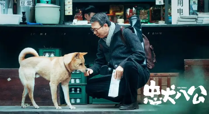 海外怎么看国内的电视剧